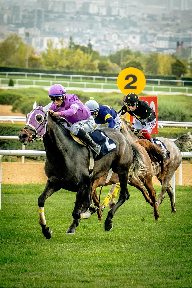 Frame_40_optimized_1773928659